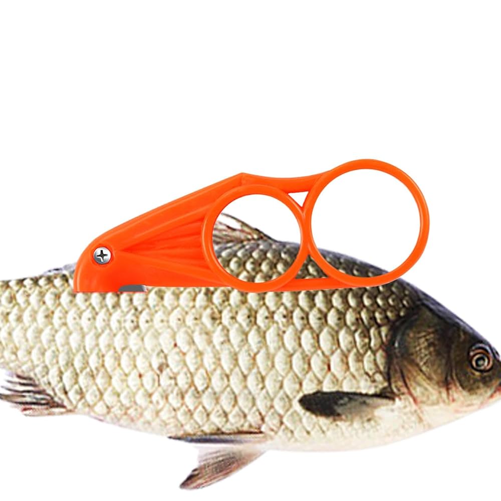 Amazon | Shitafe ポータブルフィッシングカッター、魚腹
